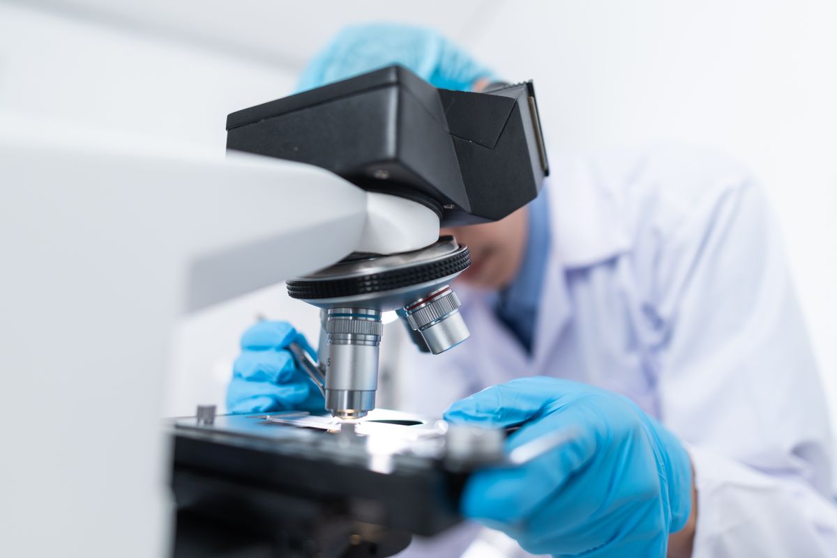 Stabilite Gösteren Yöntemler ve Zorlanmış Bozulma